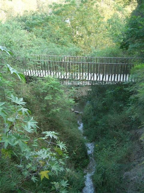 CIMG2476.jpg